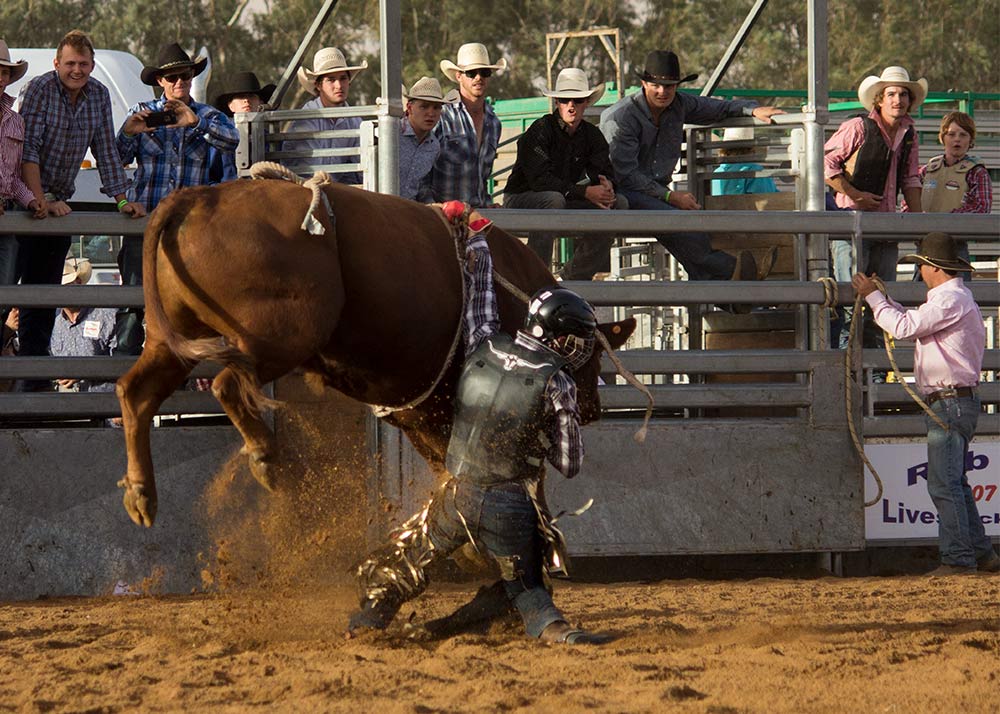 A man gets dragged by a bull as his hand is caught in the ropes. Forbes Rodeo 2018 Photography by Monique Hohnberg
