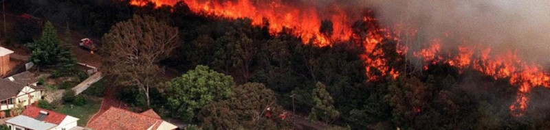 The-bushfires-in-Australia-by-Monique-Hohnberg